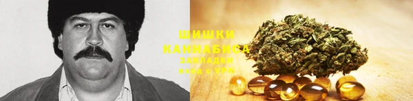стафф Верхний Тагил