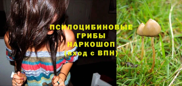 2c-b Верея